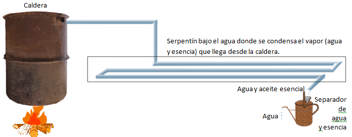 Esquema completo de la instalación para destilar el espliego