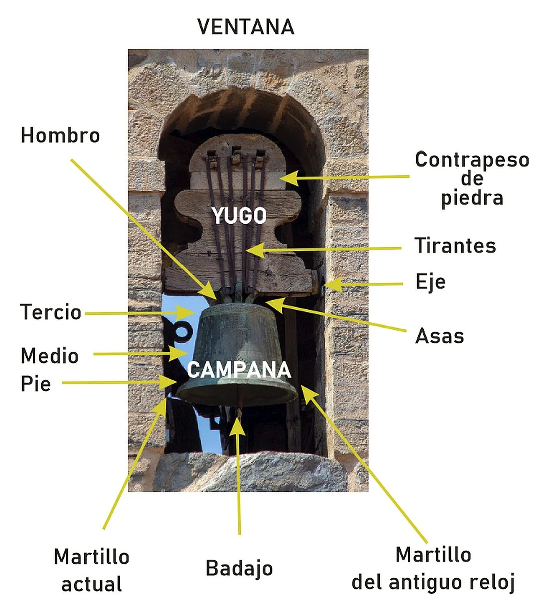 Partes de una campana